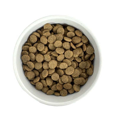 Budget Premium Senior Light