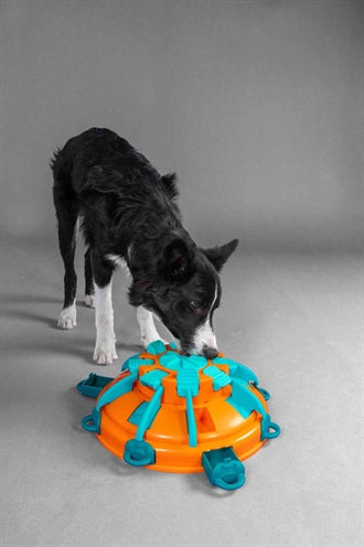 Nina Ottosson Tower Of Treats Oranje / Blauw