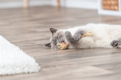 Trixie Matatabi Stokje Met Franjes