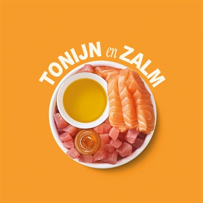 Lily's Kitchen Shredded Fillets Multipack