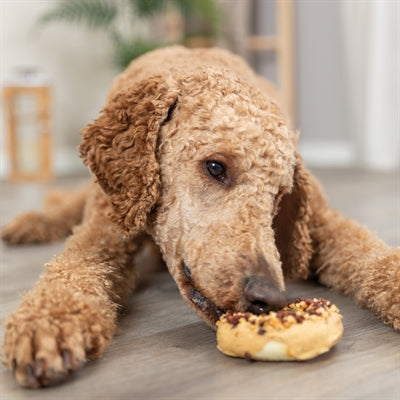 Trixie Donuts Eend / Kip / Kabeljauw