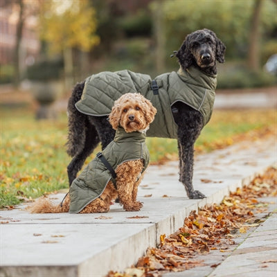 Trixie Hondenjas Minot Olijfgroen